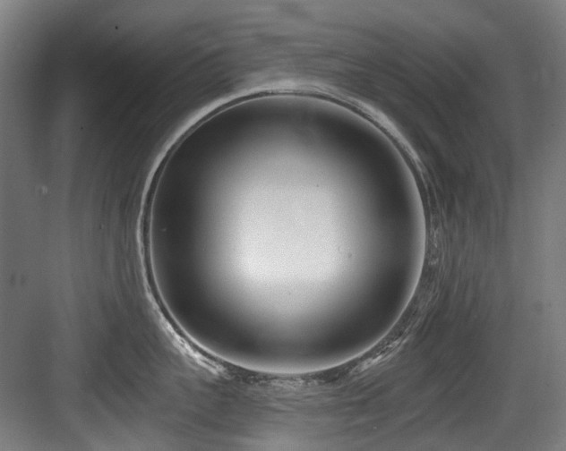 X0000083990959200702161129