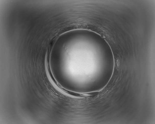 X0000083990963200702161128