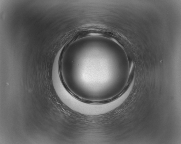 X0000083990965200702161128