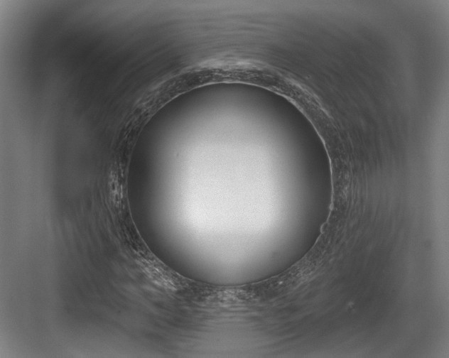X0000083990966200702161128