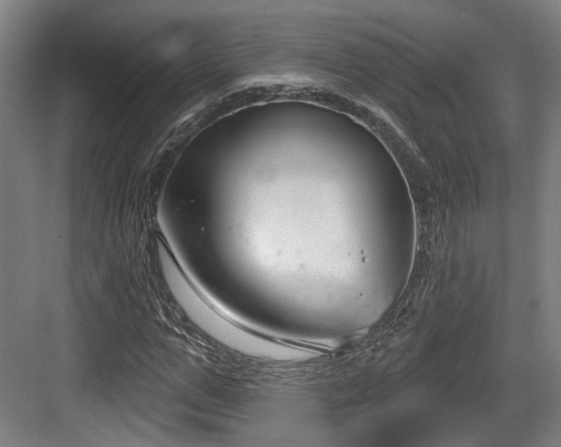 X0000083990967200702161128