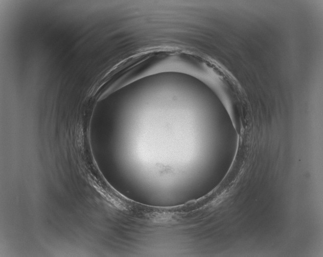 X0000083990969200702161128