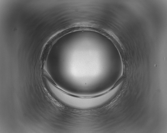 X0000083990971200702161128
