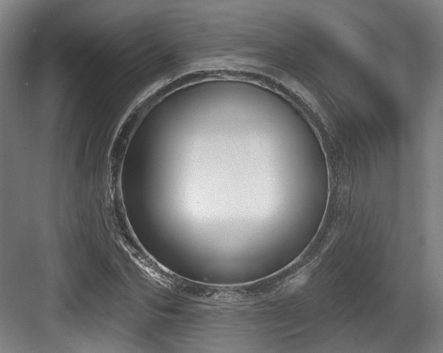 X0000083990974200702161128
