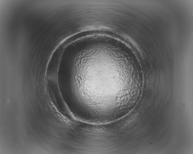 X0000083990975200702161128