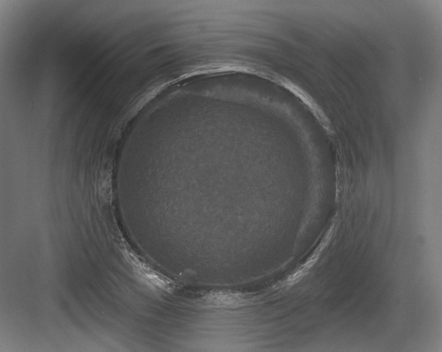 X0000083990977200702161128