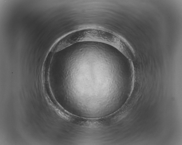 X0000083990983200702161128
