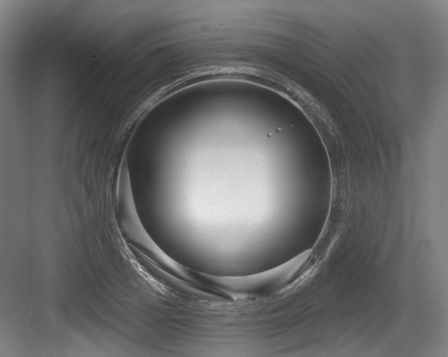 X0000083990985200702161128