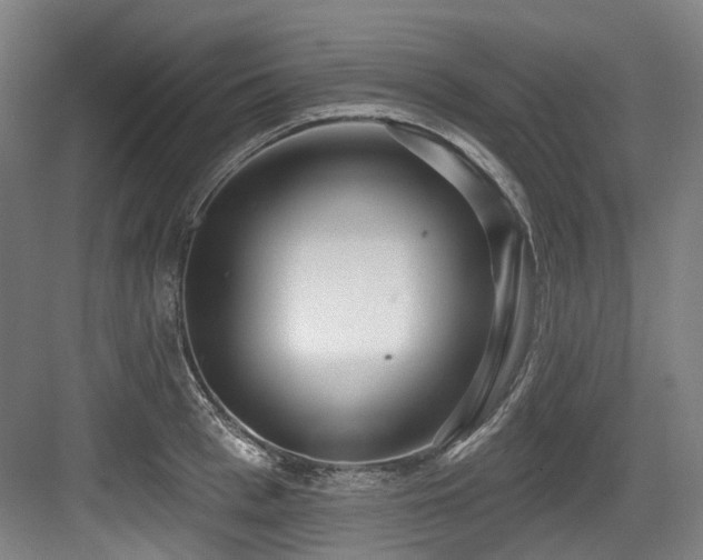 X0000083990993200702161128