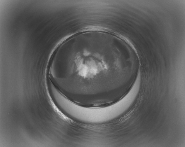 X0000083990995200702161128