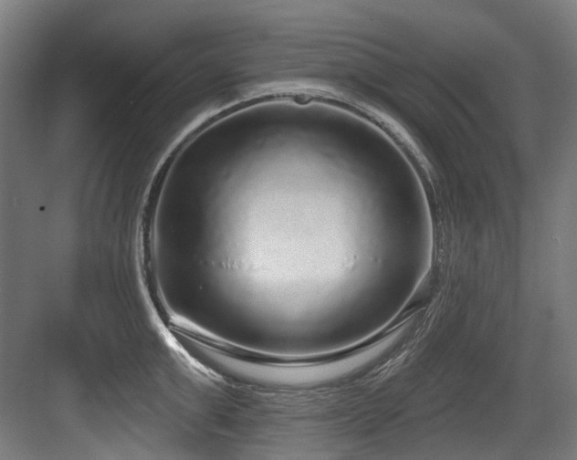 X0000083990999200702161128
