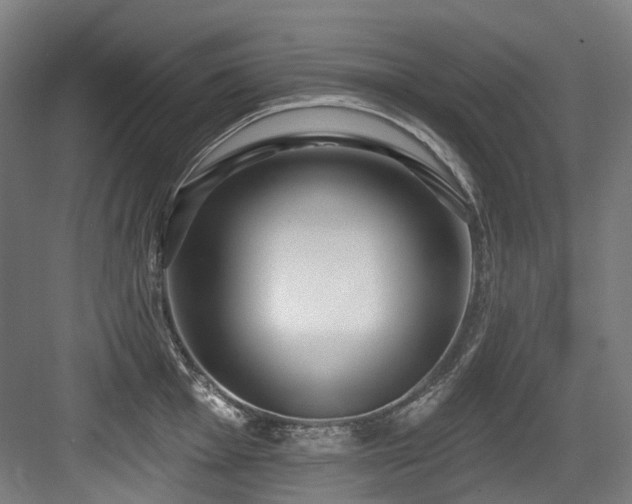 X0000083991001200702161128