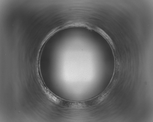 X0000083991002200702161128