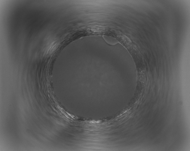 X0000083991009200702161127