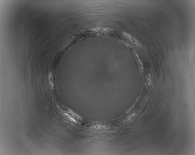 X0000083991010200702161127