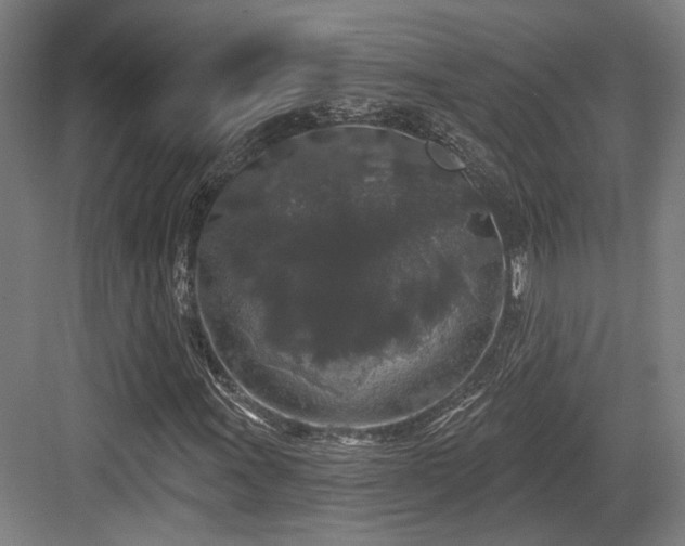 X0000083991011200702161127