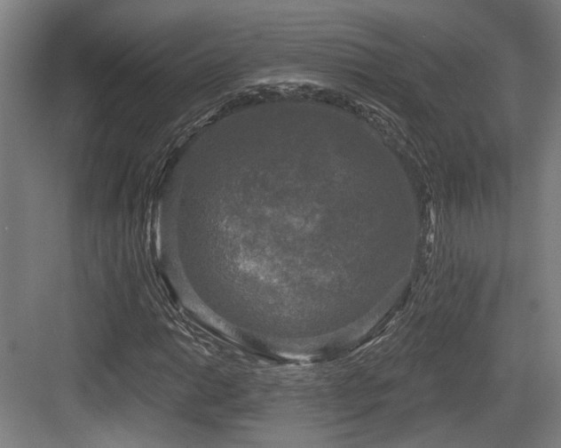 X0000083991014200702161127