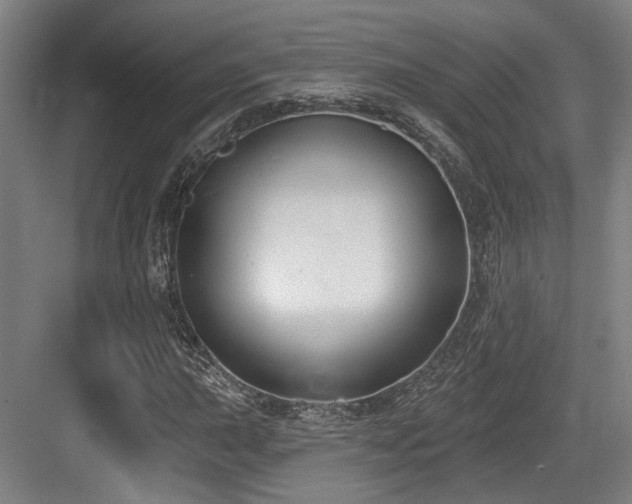 X0000083991015200702161127