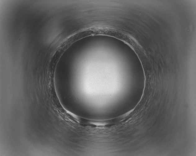 X0000083991016200702161127
