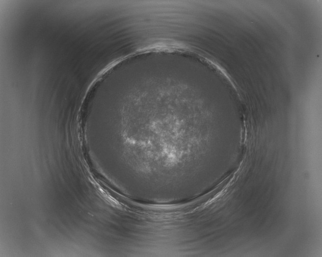 X0000083991018200702161127