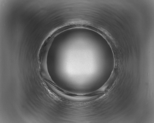 X0000083991022200702161127