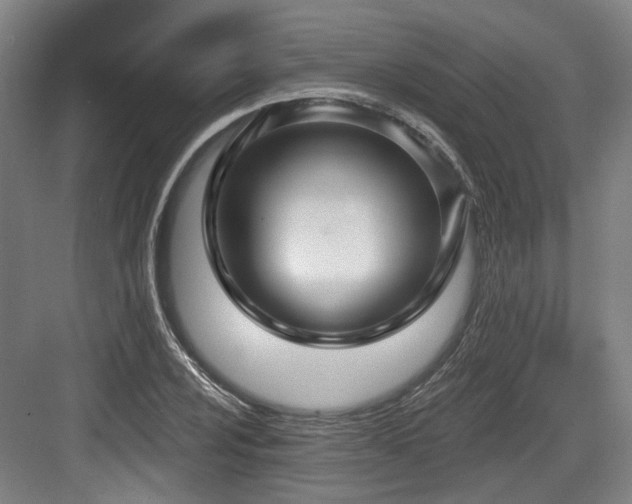 X0000083991024200702161127