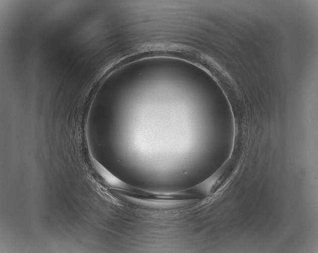 X0000083991025200702161127