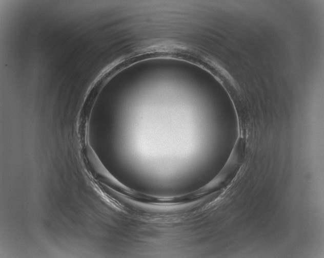 X0000083991026200702161127