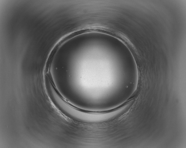 X0000083991032200702161127
