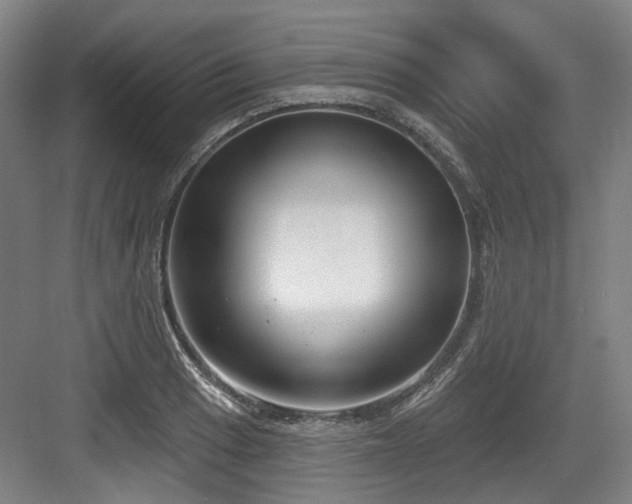 X0000083991033200702161127