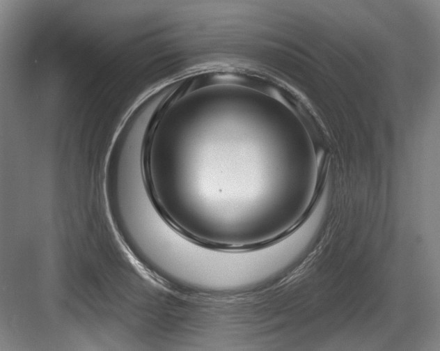 X0000083991034200702161127
