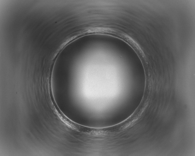 X0000083991041200702161127