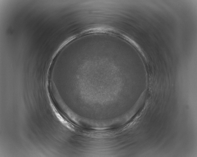 X0000083991042200702161127