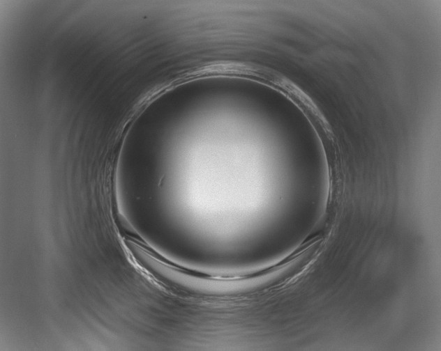 X0000083991049200702161127