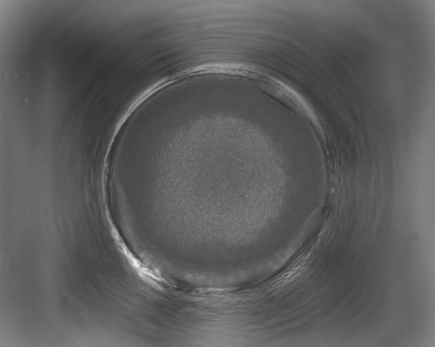 X0000083991050200702161127