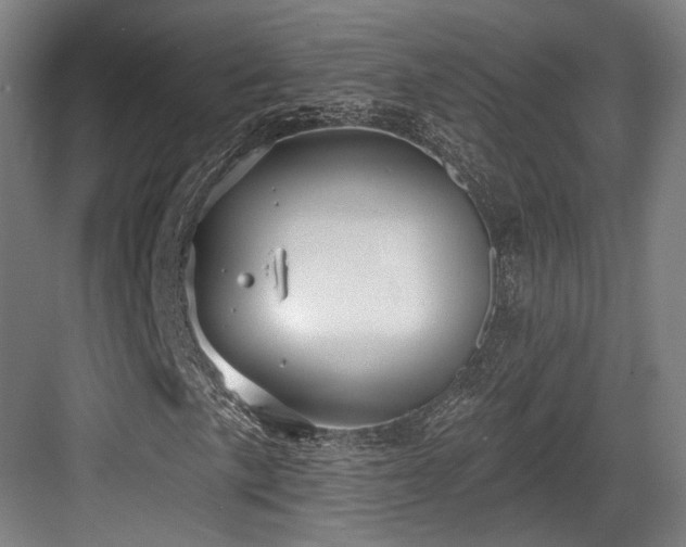 X0000083991057200702161127