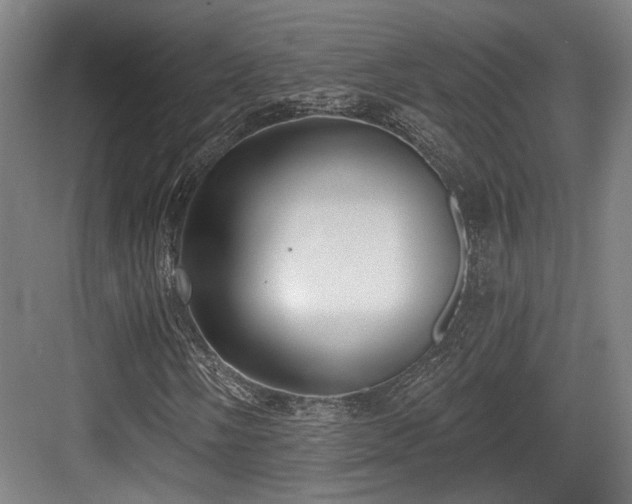 X0000083991058200702161127