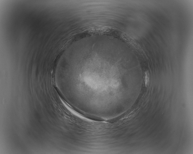 X0000083991059200702161127