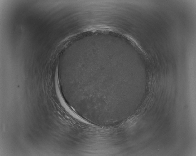 X0000083991063200702161126