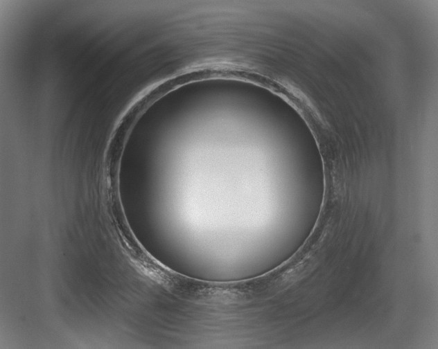 X0000083991070200702161126