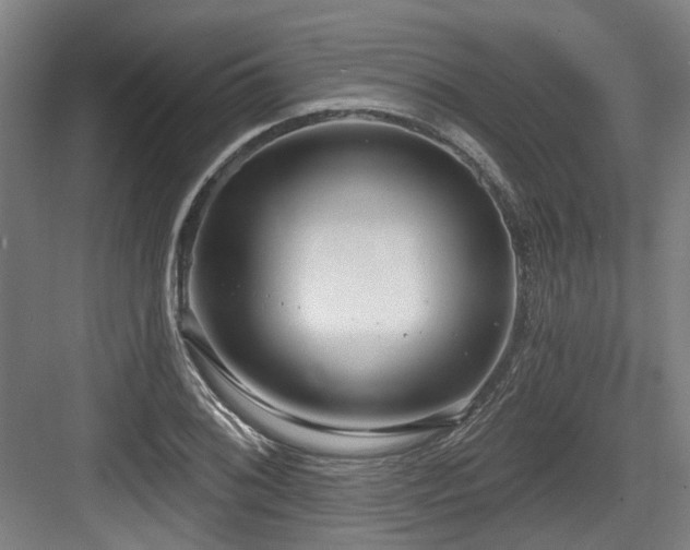 X0000083991076200702161126
