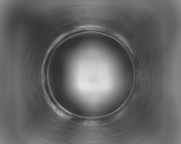 X0000083991082200702161126