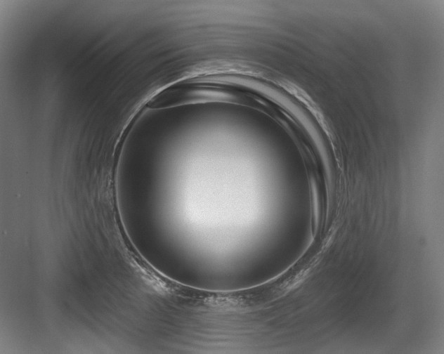 X0000083991089200702161126