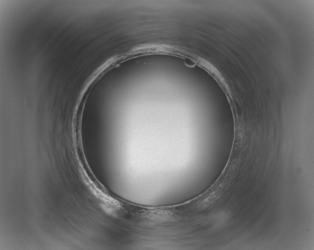 X0000083991090200702161126