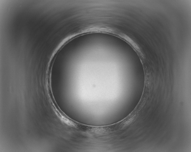 X0000083991094200702161126