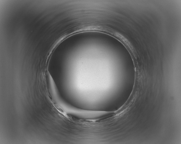 X0000083991097200702161126