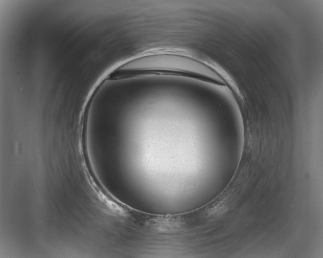 X0000083991102200702161126