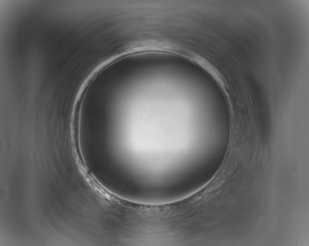 X0000083991104200702161126