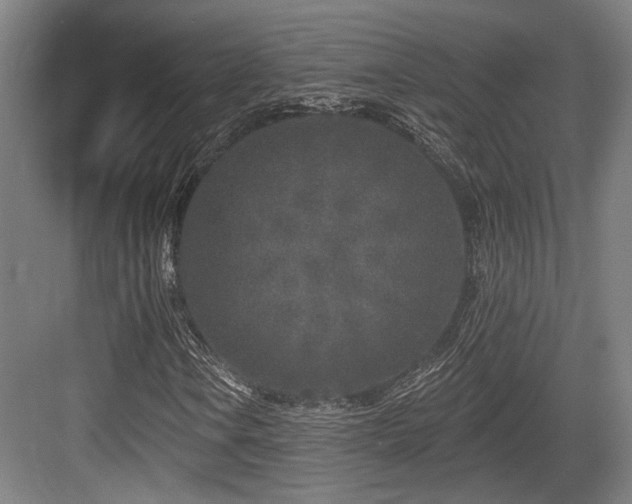 X0000083991106200702161125