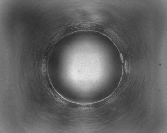 X0000083991107200702161125